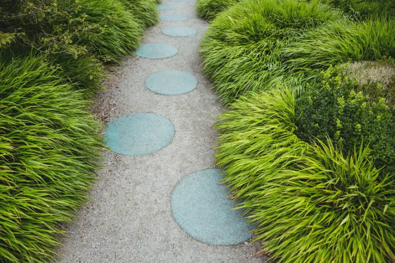 A winding pathway lined with vibrant green grass and circular stepping stones leads through a serene garden.